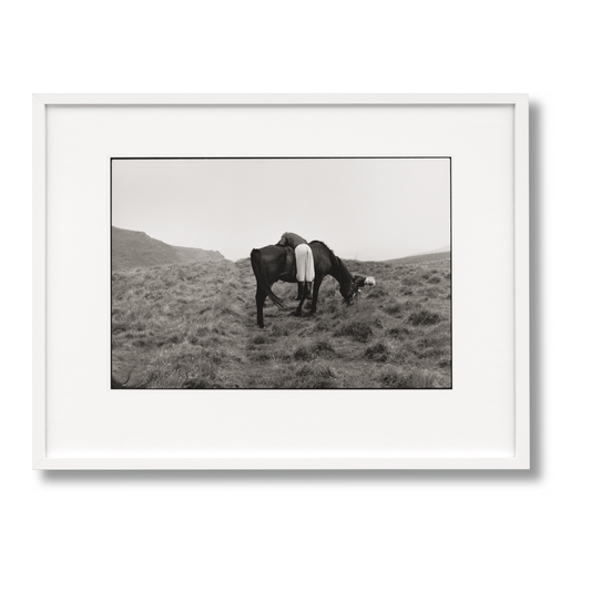 Linda McCartney. Life in Photographs, Art Edition No. 1–125 ‘Horse’ (English)