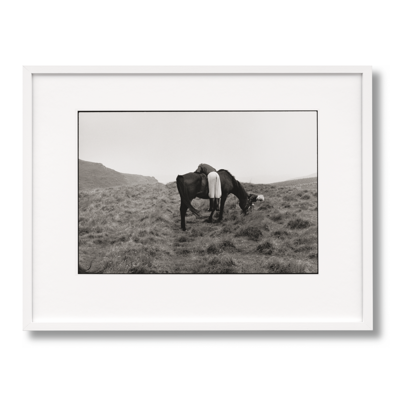 Linda McCartney. Life in Photographs, Art Edition No. 1–125 ‘Horse’ (English) (SA)