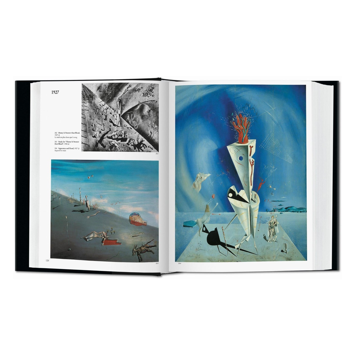 Dalí. Het geschilderde werk (Dutch)