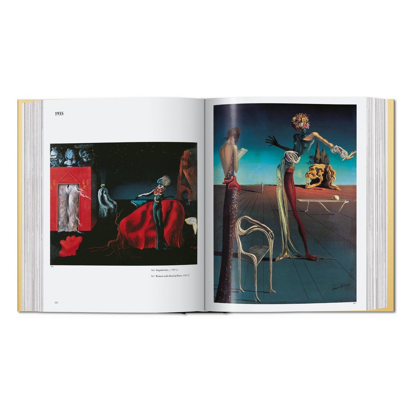 Dalí. L'œuvre peint (French)