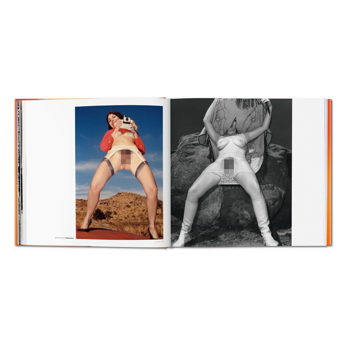 The Big Book of Pussy (German, French, English)