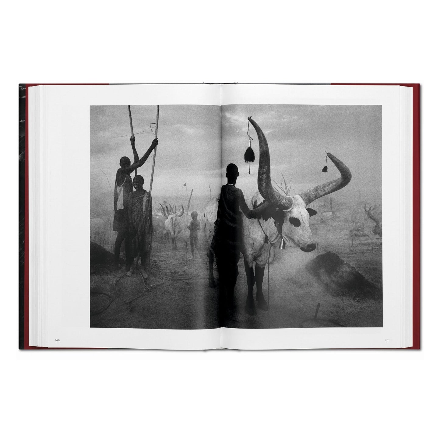 Sebastião Salgado. Genesi (Italian)