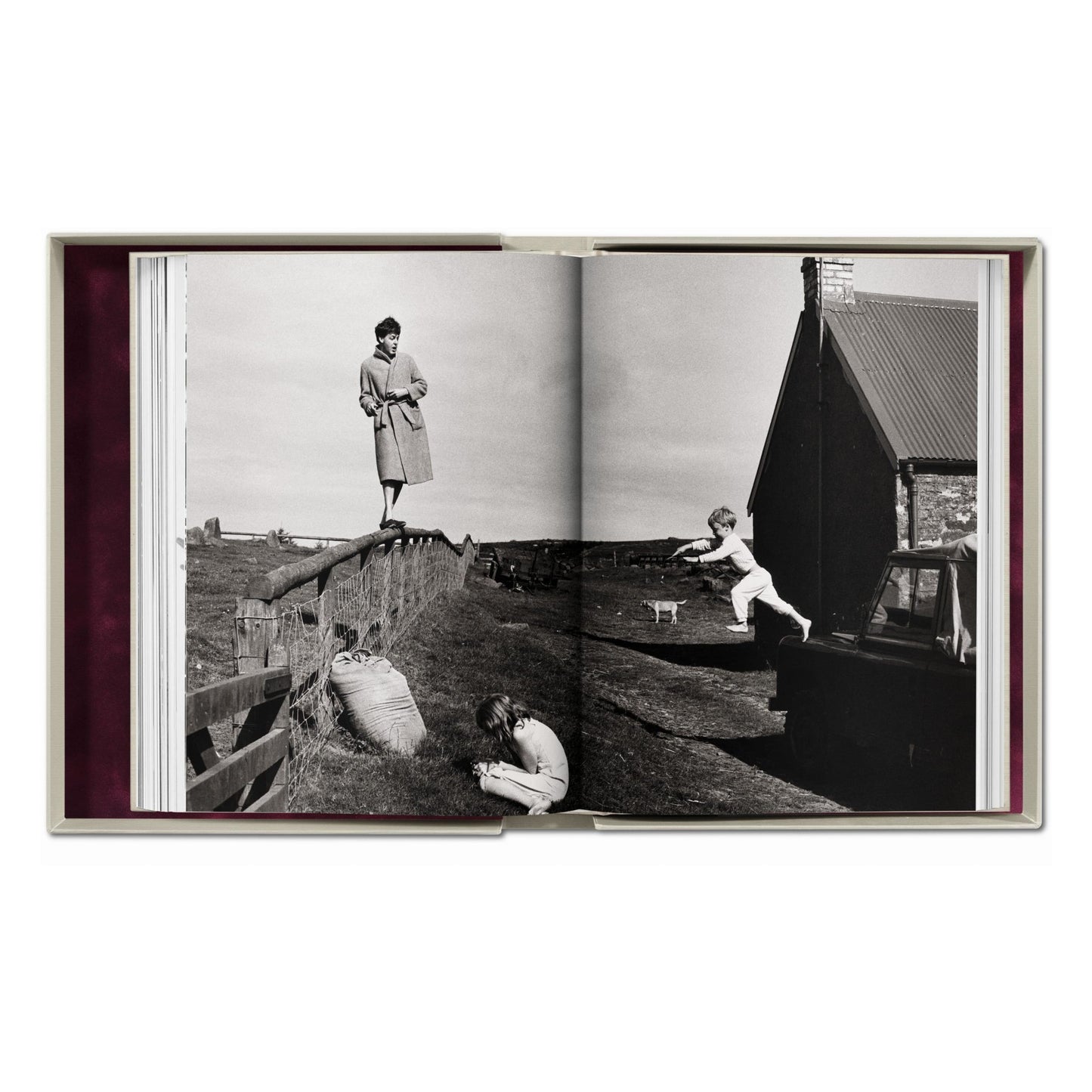 Linda McCartney. Life in Photographs, Art Edition No. 1–125 ‘Horse’ (English) (AP)