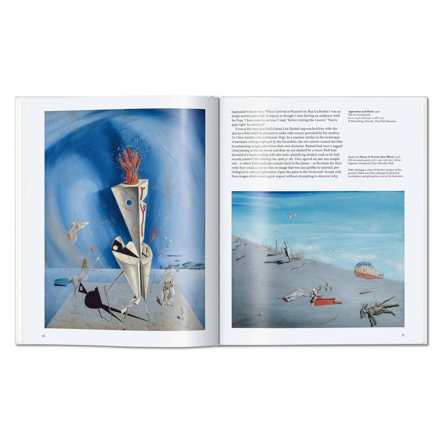 Dalí (Dutch)