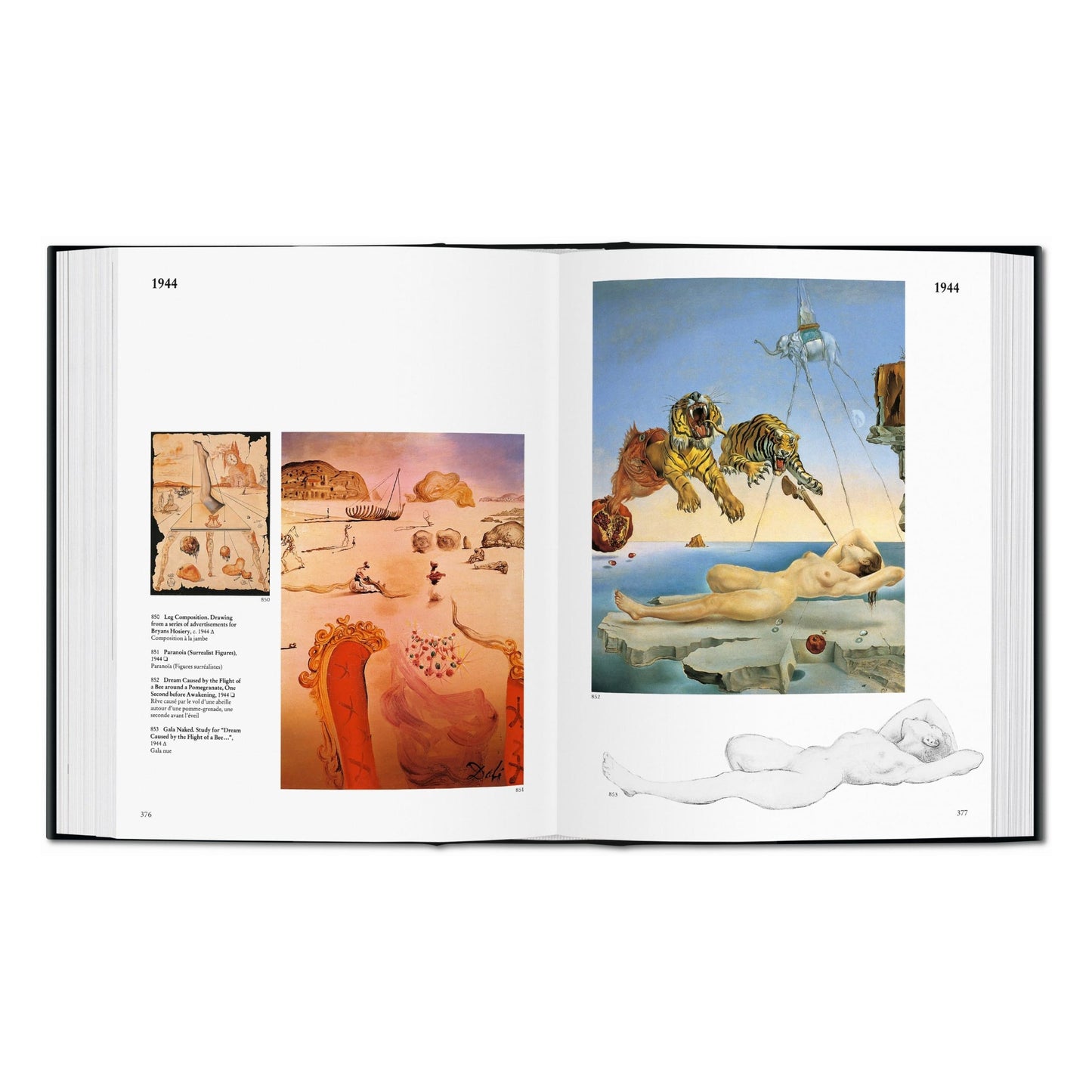 Dalí. Het geschilderde werk (Dutch)