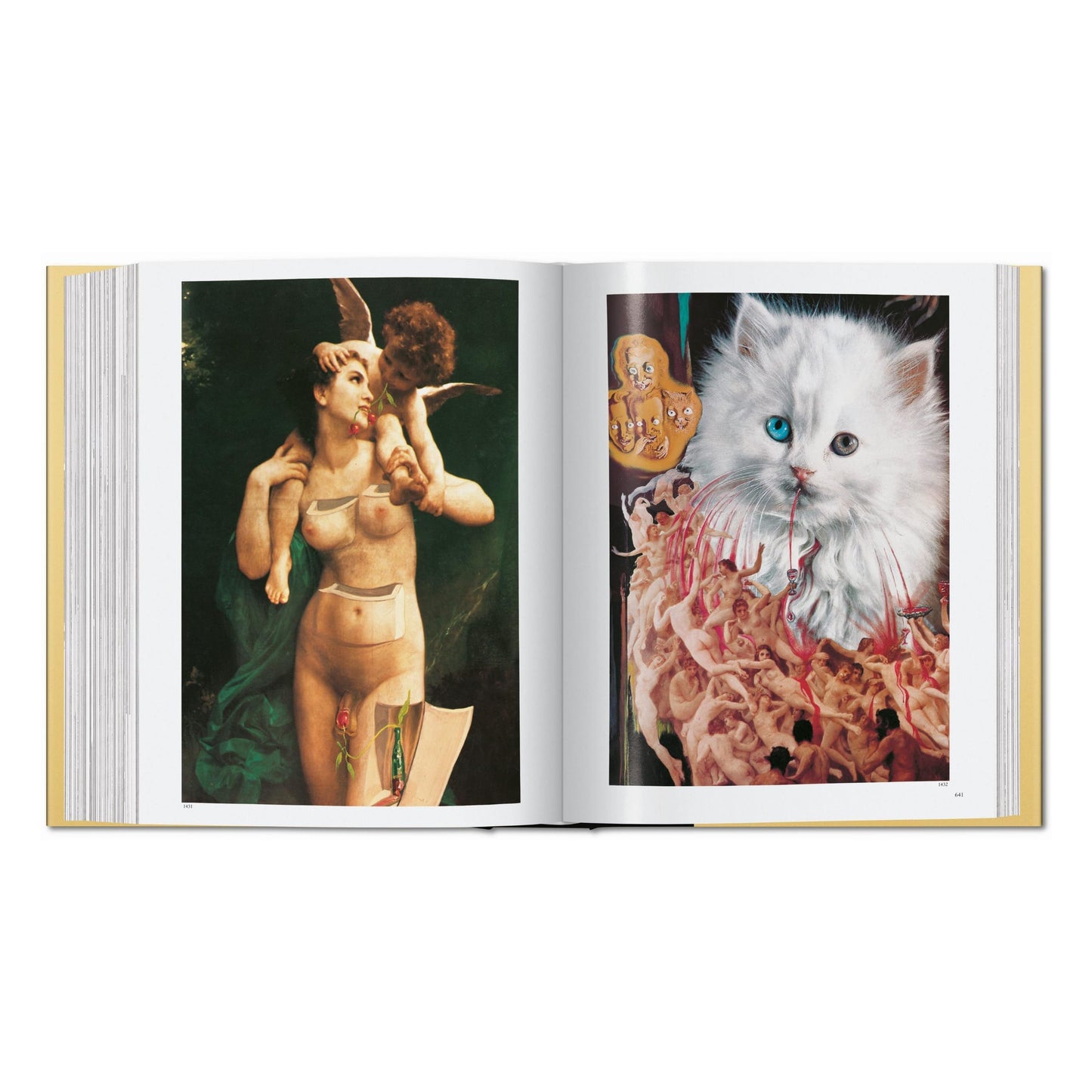 Dalí. L'œuvre peint (French)