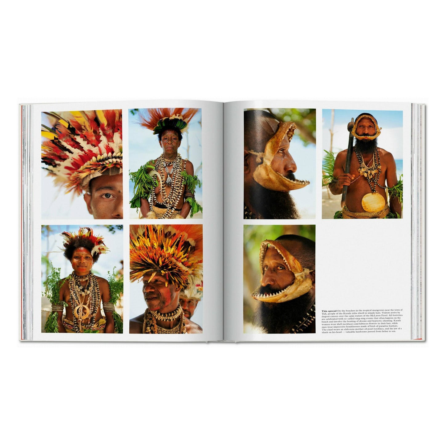 Remote Experiences. Extraordinary Travel Adventures from North to South (English)
