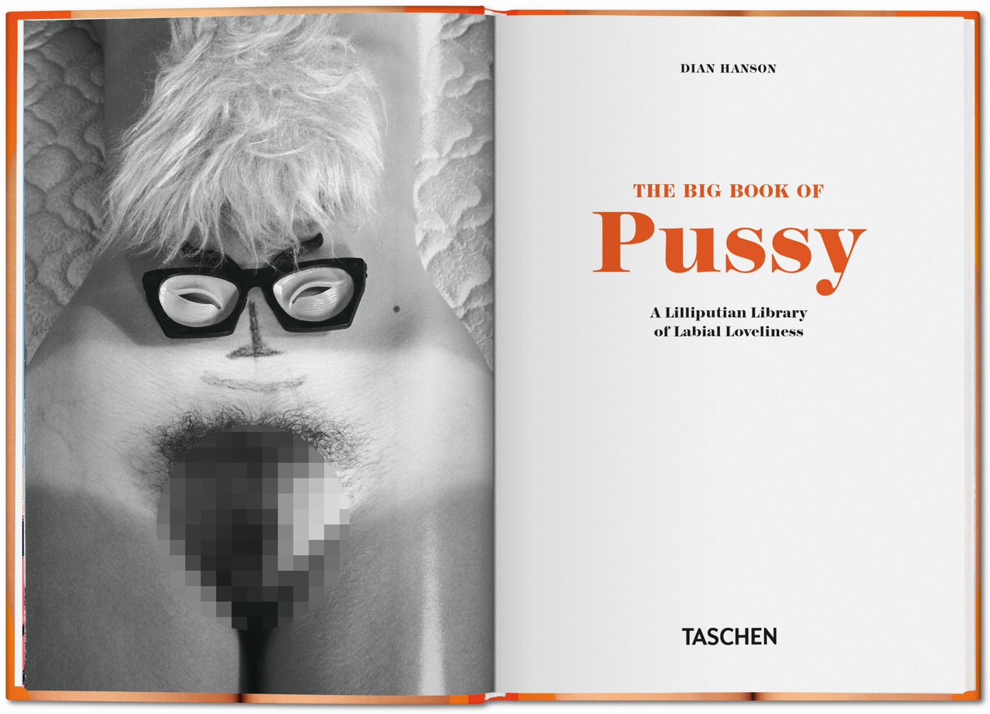 The Little Big Book of Pussy (German, French, English)