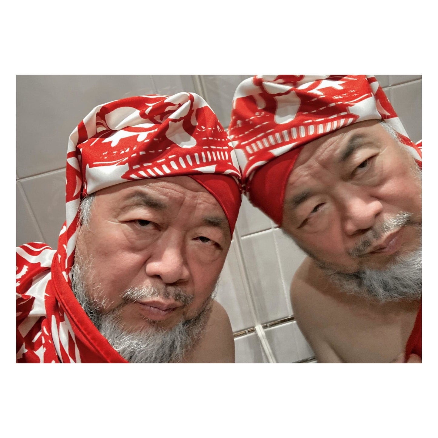 Ai Weiwei. The Silk Scarf ‘Cats and Dogs’