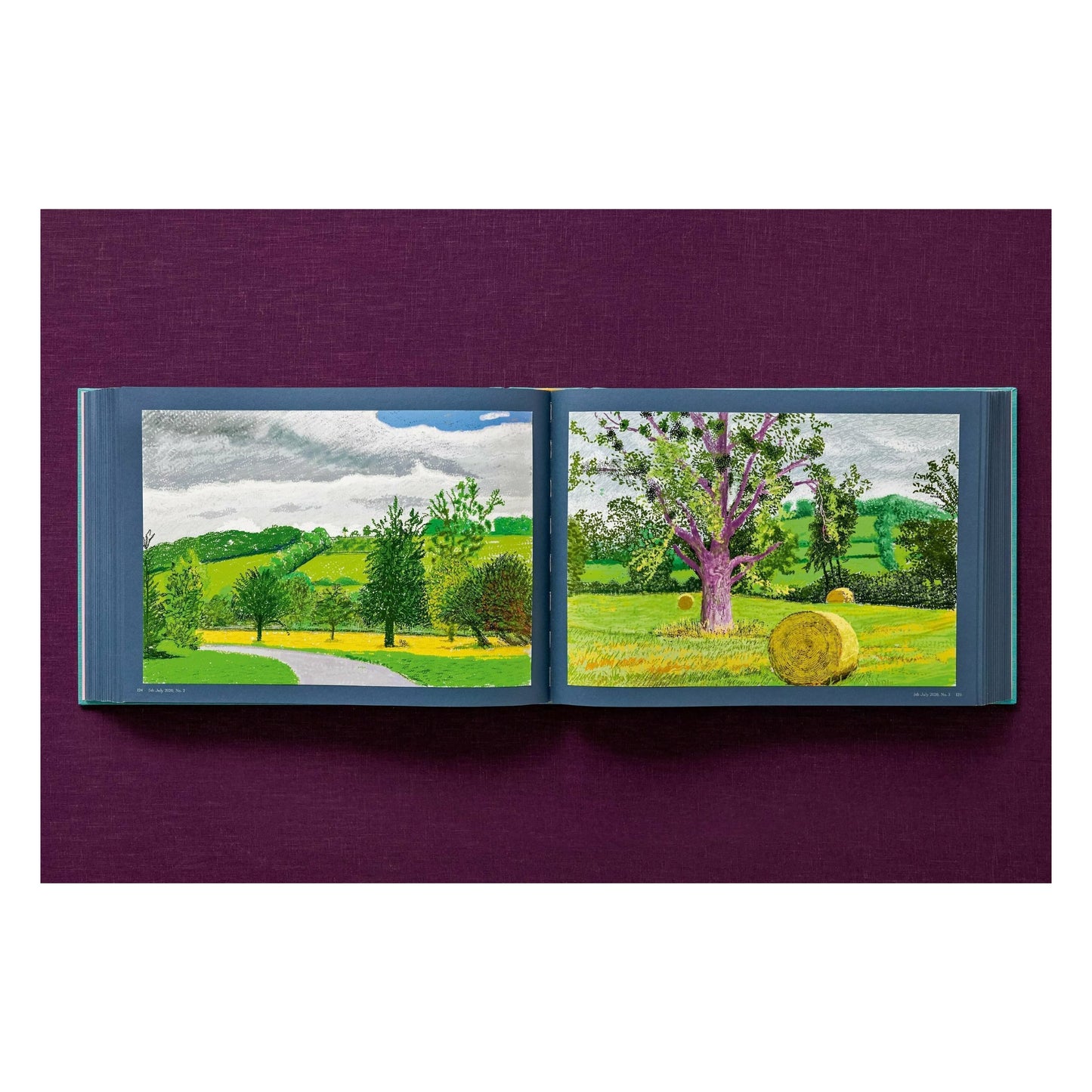 David Hockney. 220 for 2020. Art Edition No. 1–100 ‘Spilt Ink with Tests’ (English) (AP)