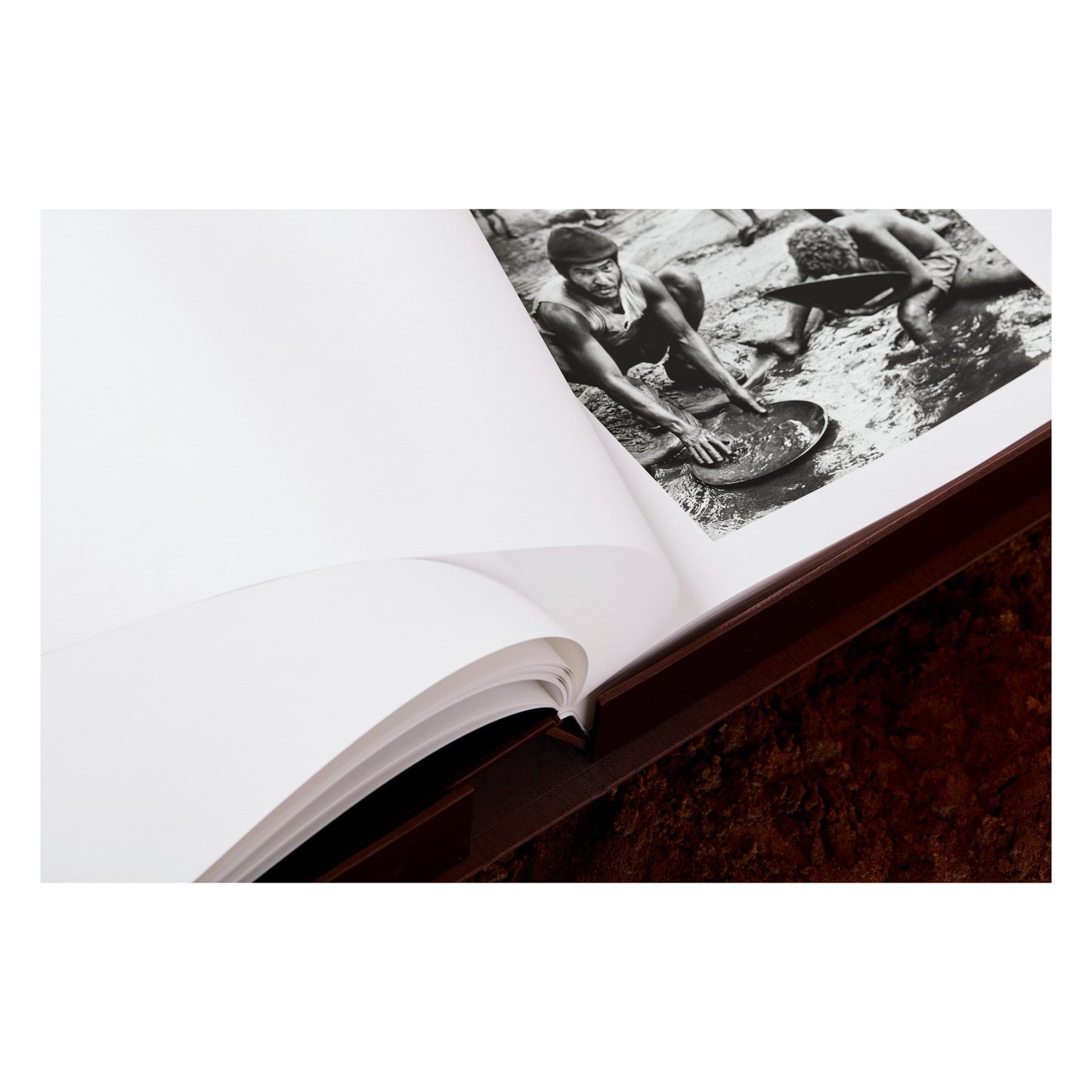 Sebastião Salgado. Gold (English) (SA)
