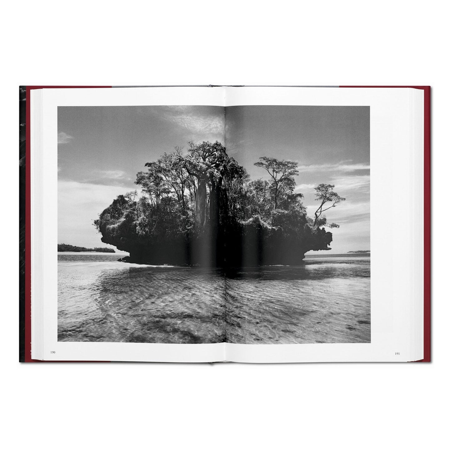 Sebastião Salgado. Genesis (French)