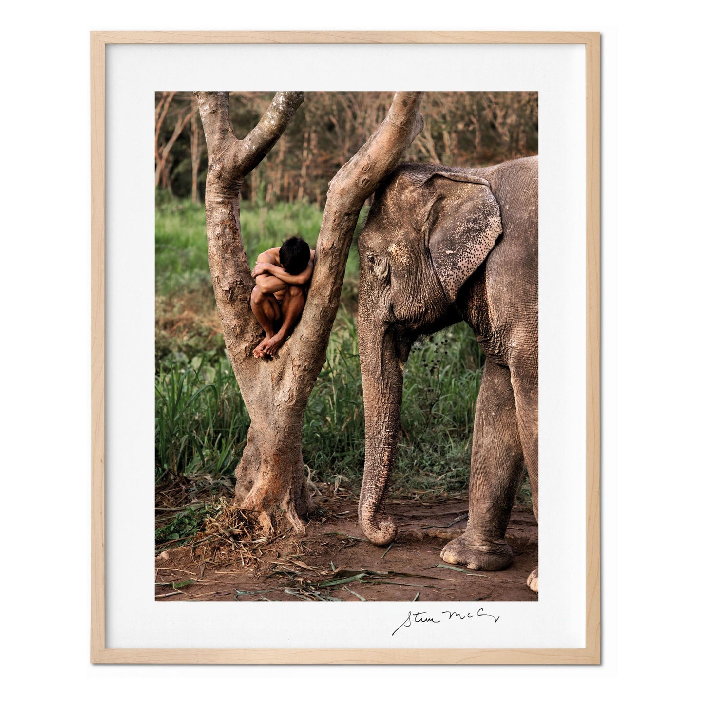 McCurry, Animals, Art A, Chiang Mai (German, French, English) (AP)