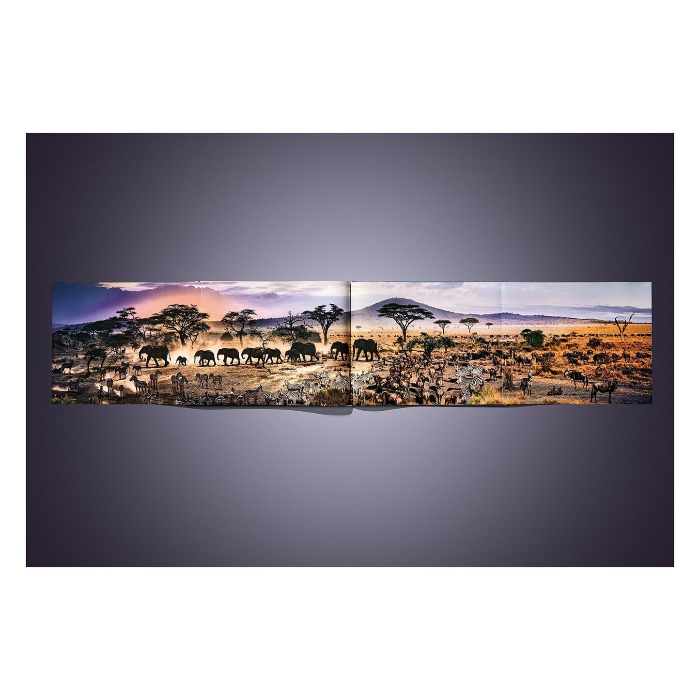 Stephen Wilkes. Day to Night. Art Edition B, 'Grand Canyon, Arizona, 2015' (German, French, English) (SA)