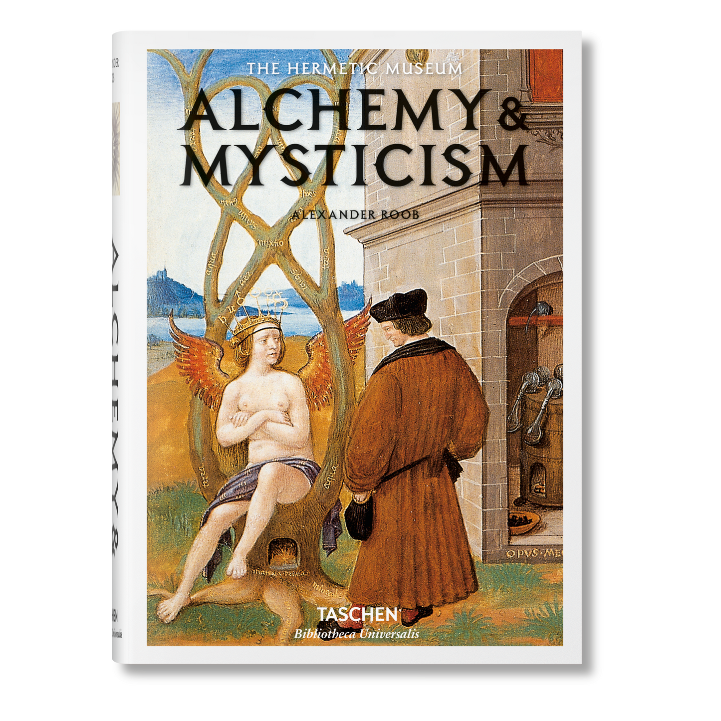 Alchemy & Mysticism (English)