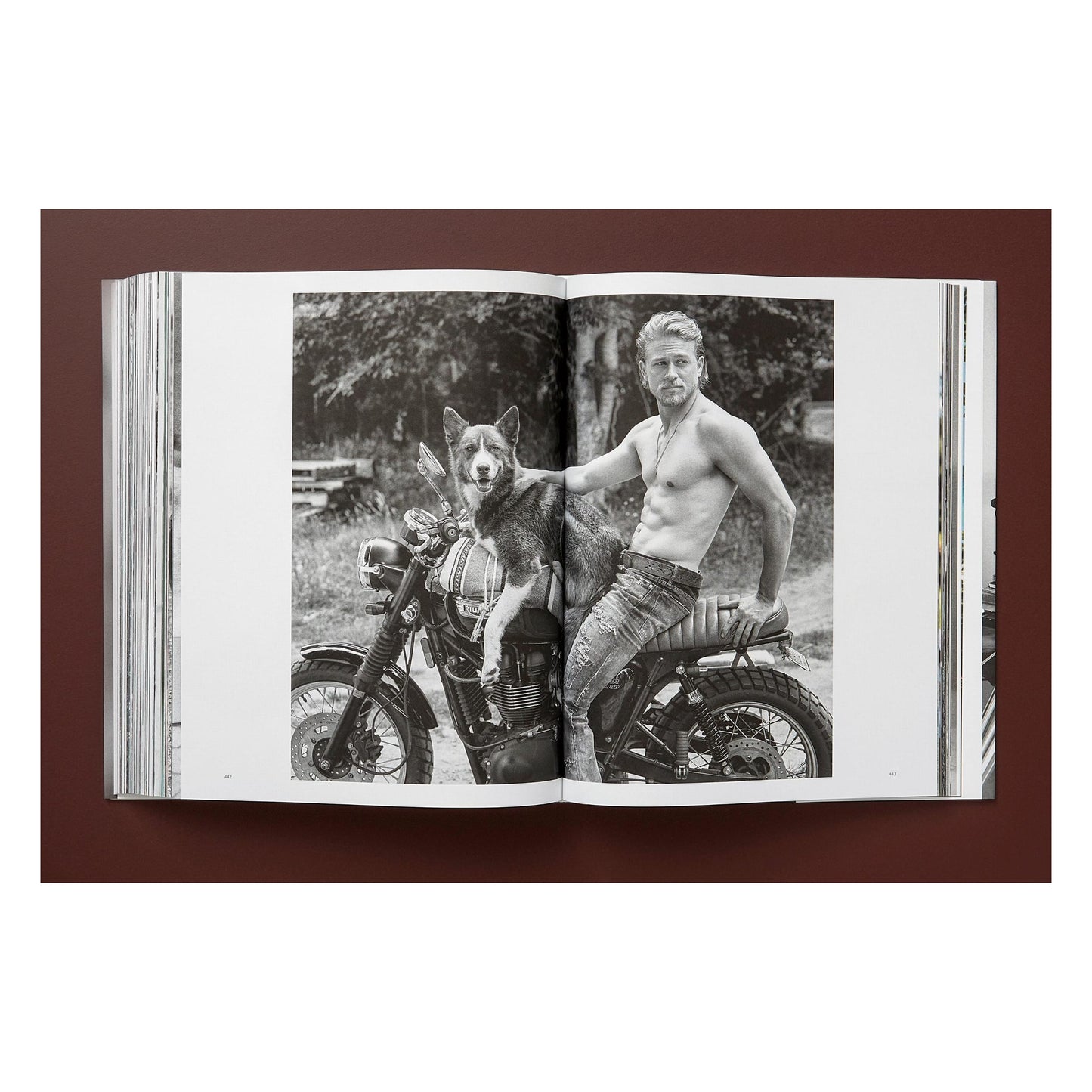 Bruce Weber. The Golden Retriever Photographic Society. Art Edition No. 101–200 ‘Hud, New York City, 2011’ (German, French, English)