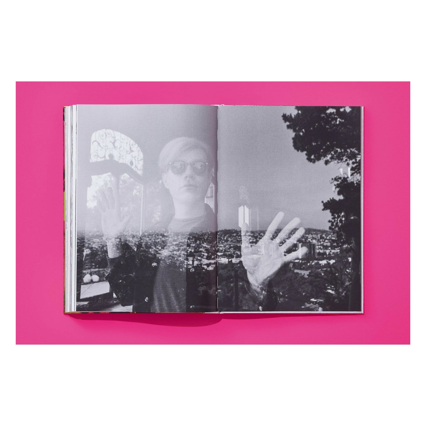 Steve Schapiro. Andy Warhol and Friends (English) (AP)