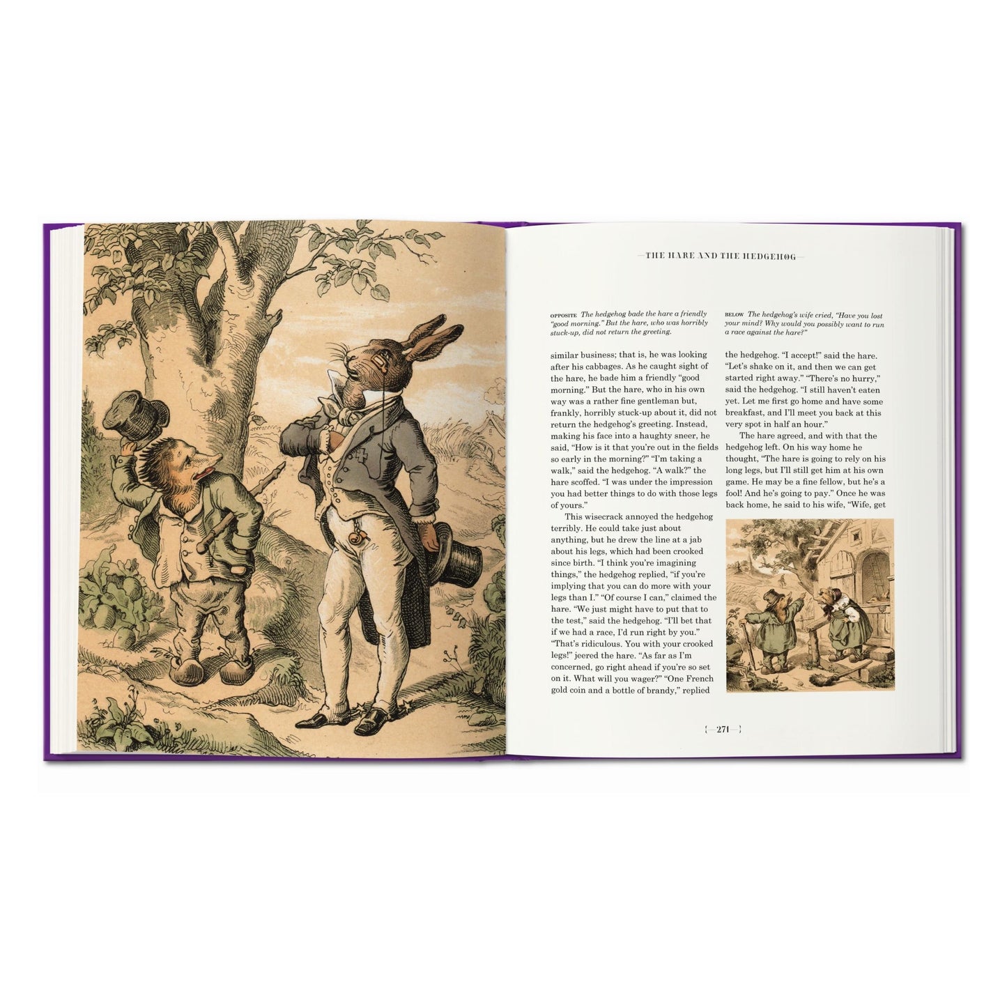 Les contes des frères Grimm (French)