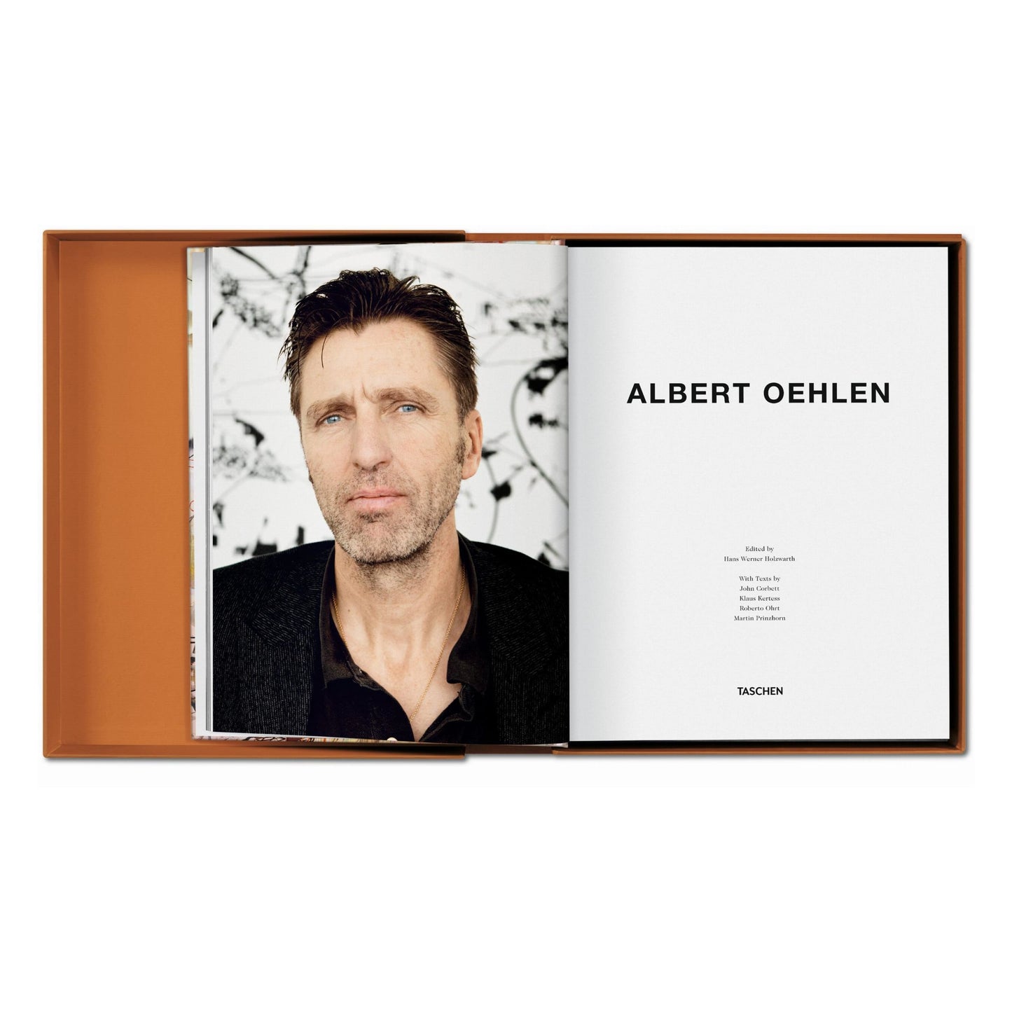 Albert Oehlen. Art Edition (German, French, English) (AP)