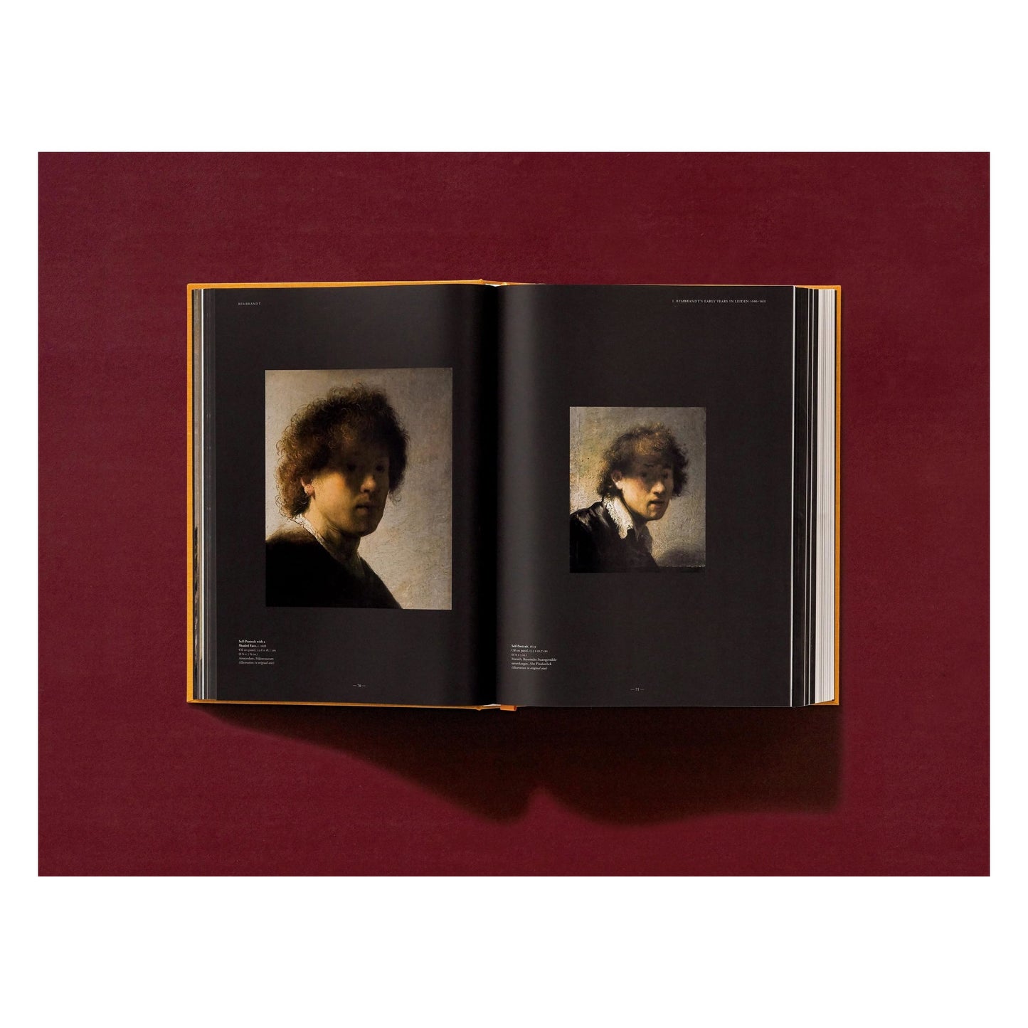 Rembrandt. Obra pictórica completa (Spanish)