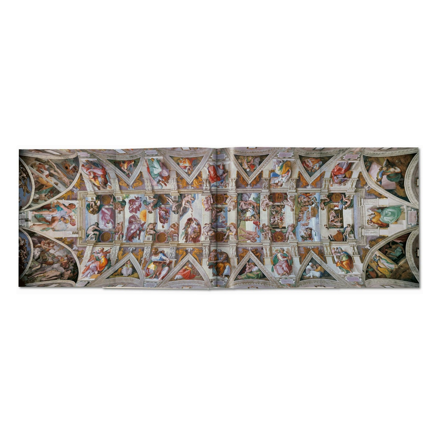 Michel-Ange. L'œuvre complet. Peinture, sculpture, architecture (French)