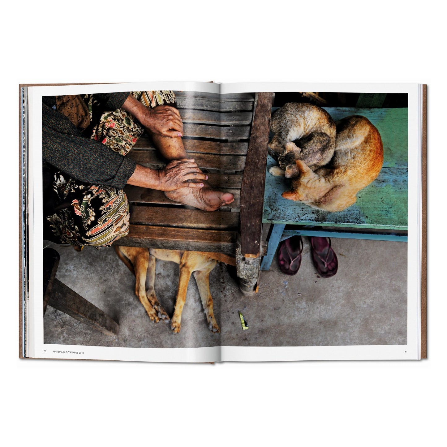 Steve McCurry. Animals. Art Edition No. 101–200 ‘Chennai, India, 1996’ (German, French, English)