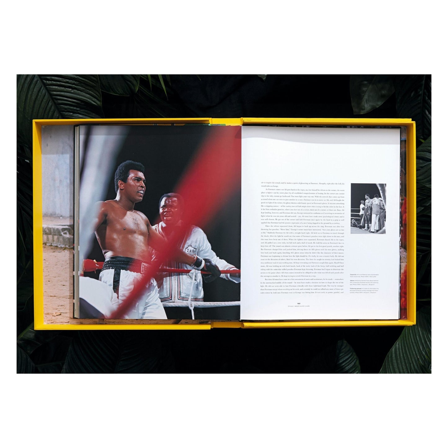 Norman Mailer. N.Leifer. H.Bingham. The Fight. Art Edition No. 126–250, Neil Leifer ‘Ali vs Foreman – Foreman Being Counted Out’ (English)