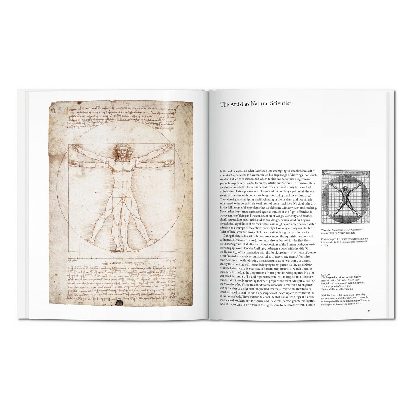 Leonardo (Portuguese)