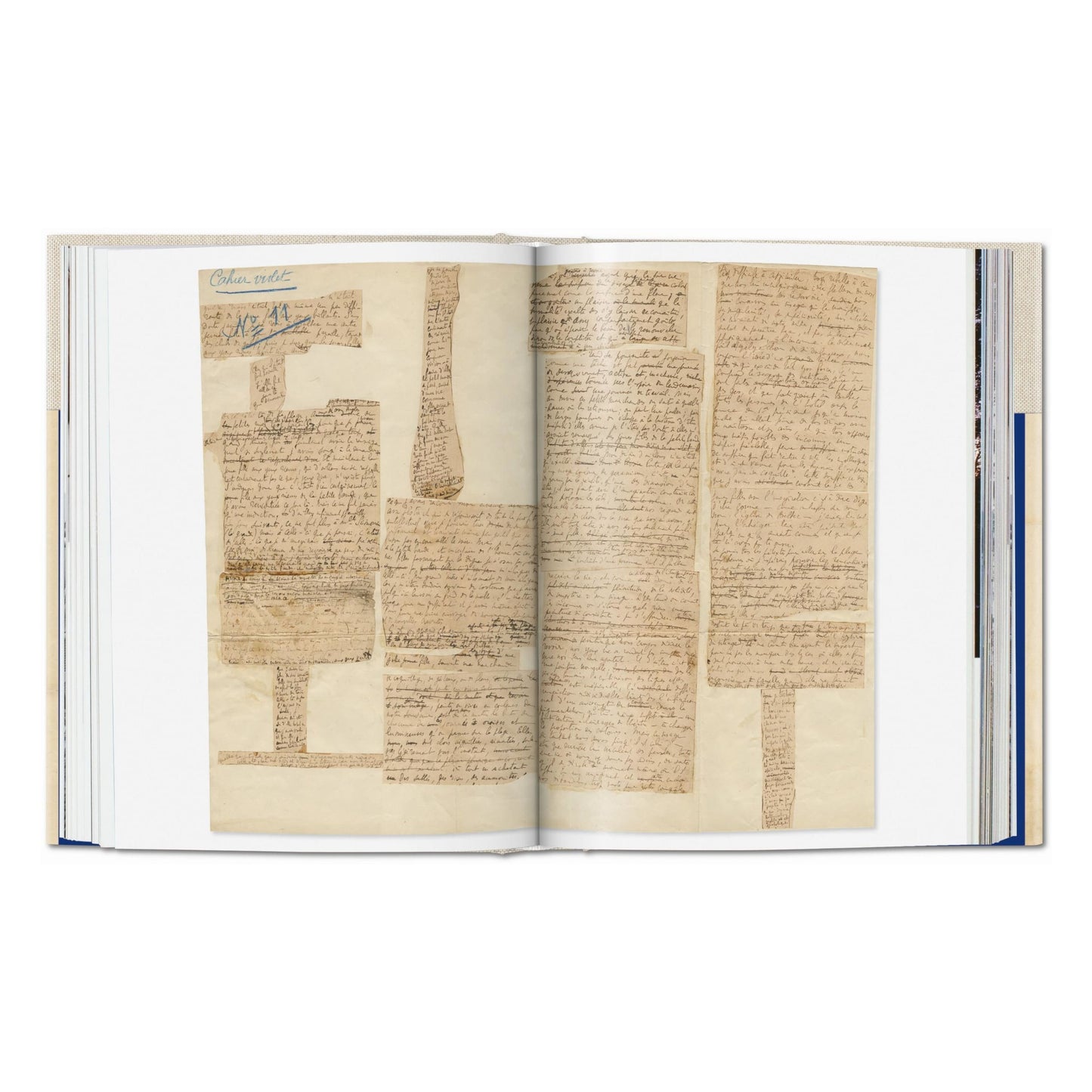 La magia del manuscrito. Colección Pedro Corrêa do Lago (Spanish)