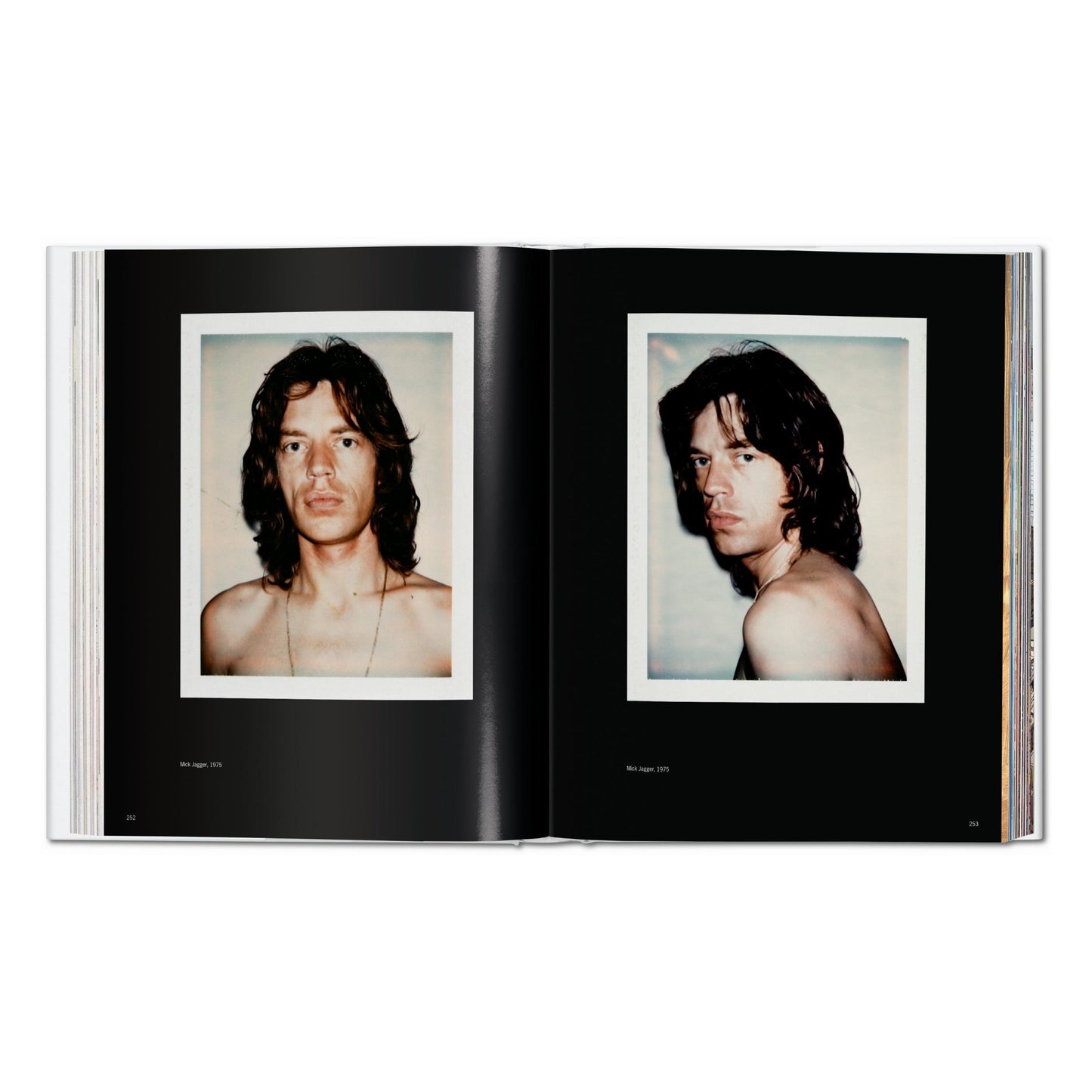 Andy Warhol. Polaroids 1958-1987 (German, French, English)