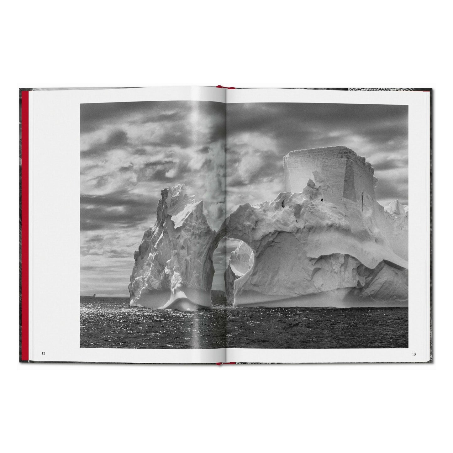 Sebastião Salgado. Genesi (Italian)