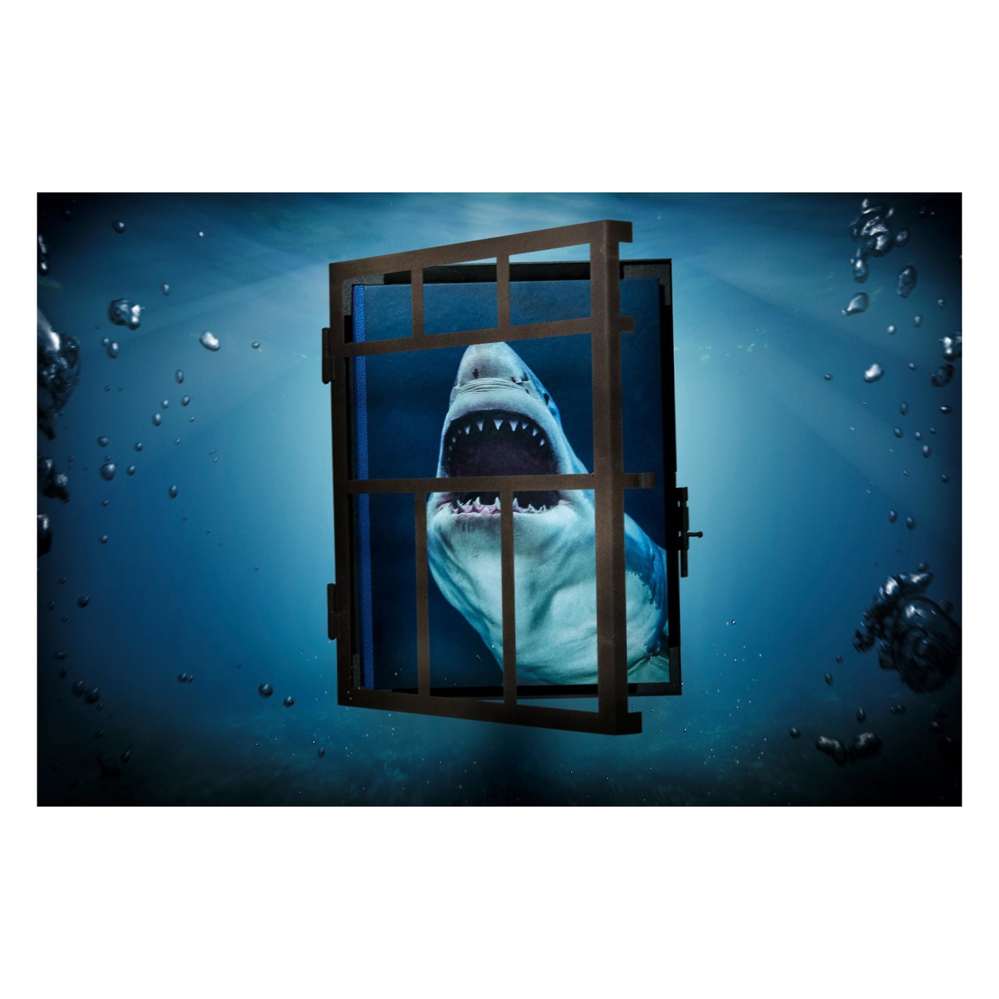 Michael Muller. Sharks (English) (SA)