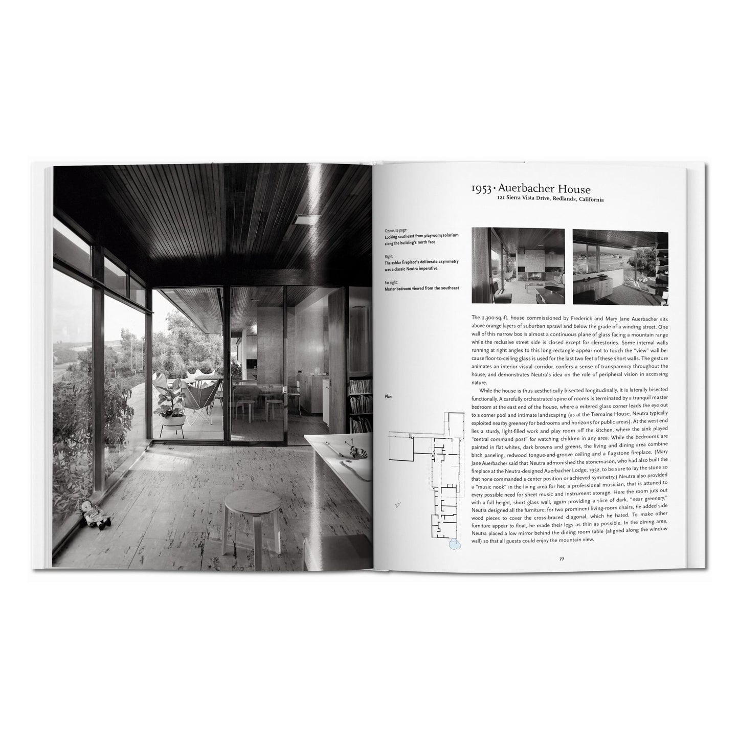 Neutra (English)