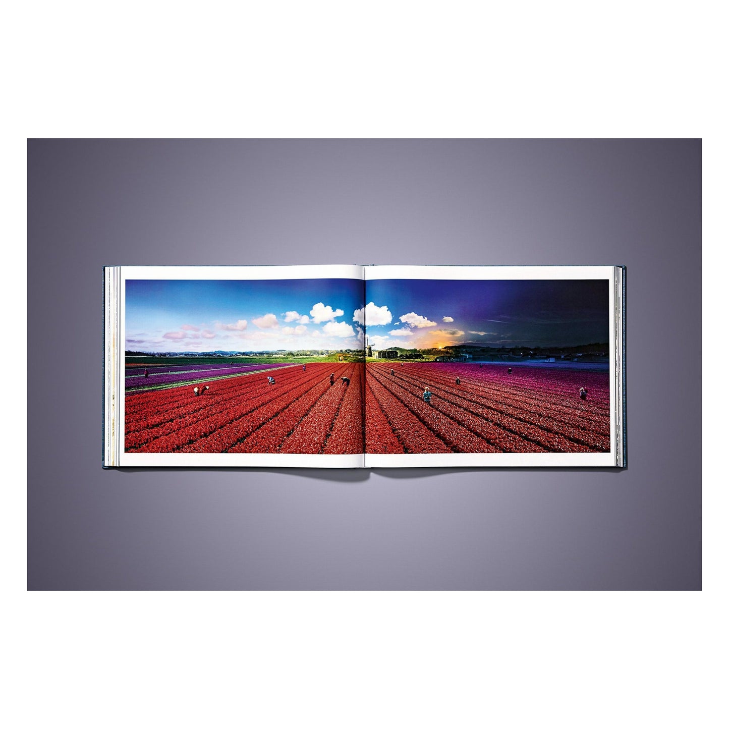 Stephen Wilkes. Day to Night. Art Edition No. 101–200 ‘Grand Canyon, Arizona, 2015’ (German, French, English)