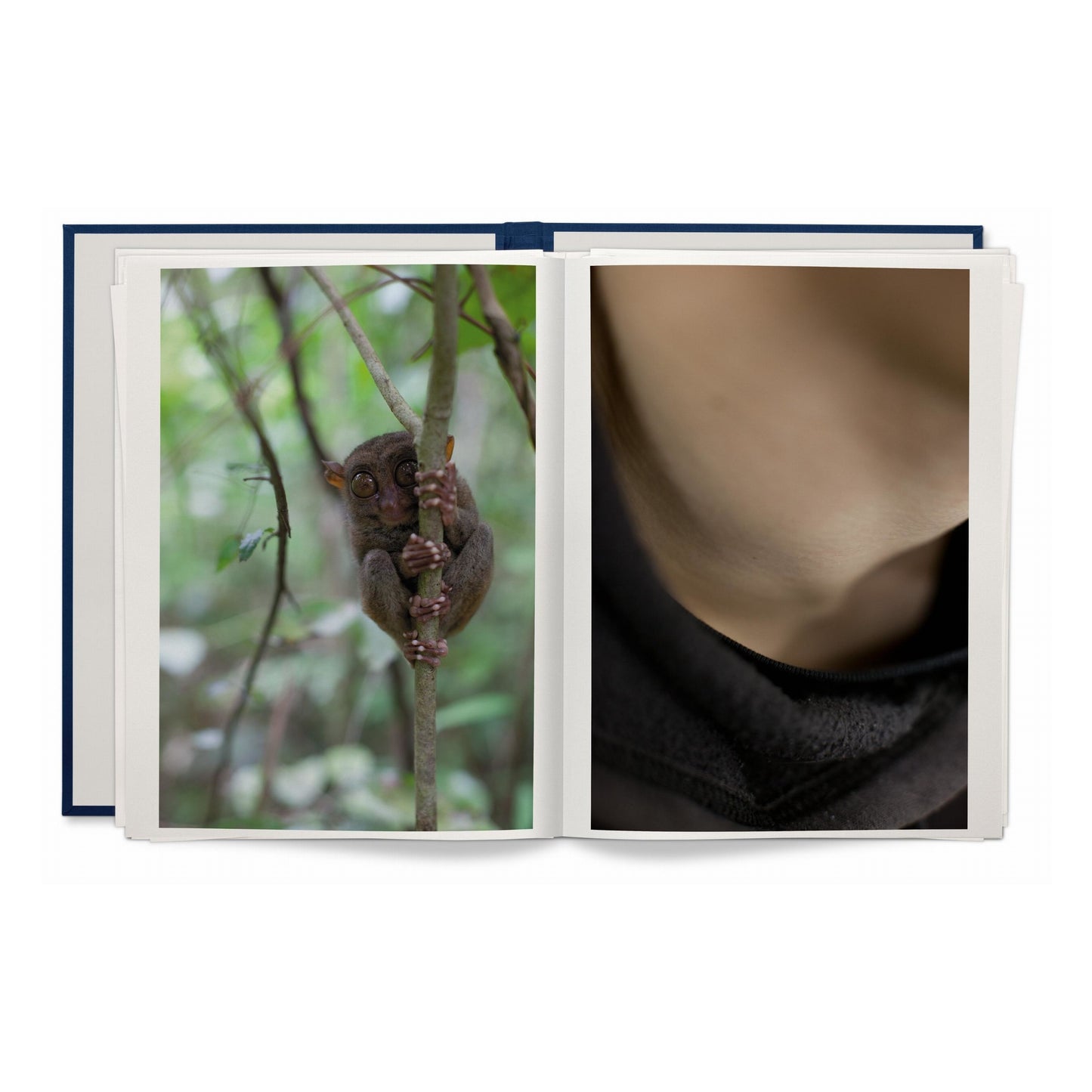 Wolfgang Tillmans. Neue Welt. Art Edition (German, French, English) (AP)