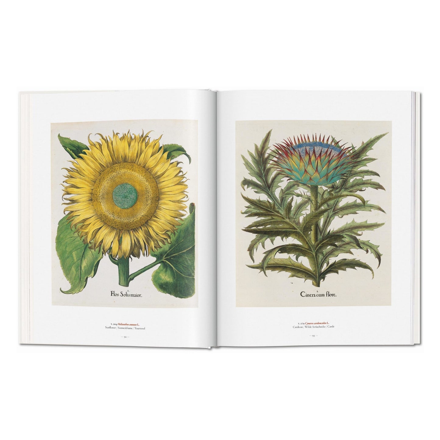 A Garden Eden. Masterpieces of Botanical Illustration (Spanish, English, Italian)