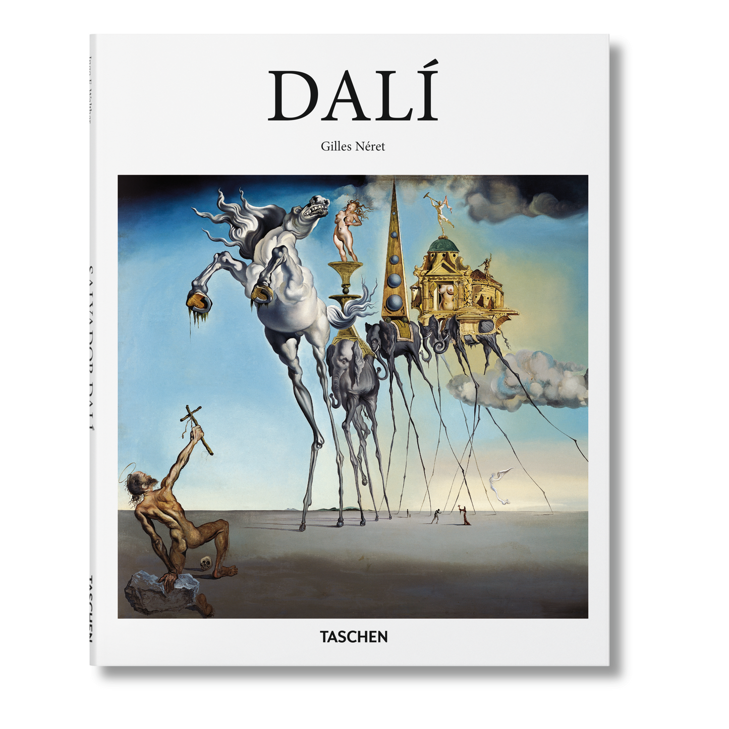 Dalí (Dutch)