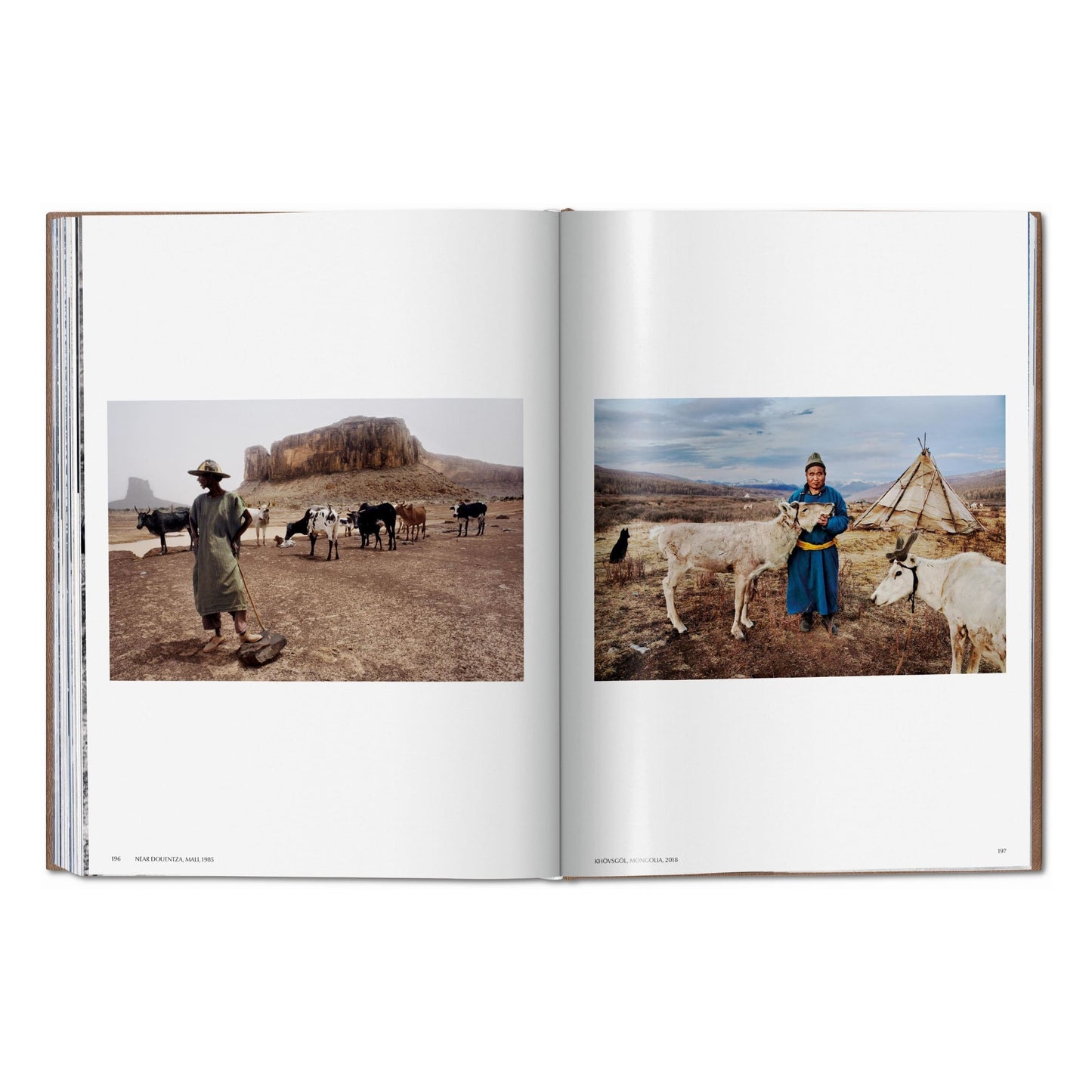 Steve McCurry. Animals. Art Edition No. 101–200 ‘Chennai, India, 1996’ (German, French, English)