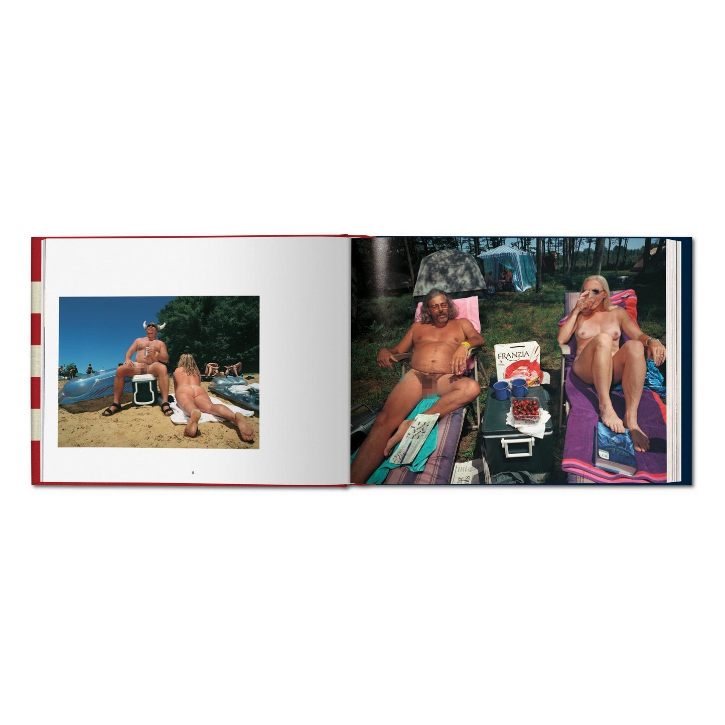 Naomi Harris. America Swings, Art Edition No. 51–100 ‘Barbecue’ (German, French, English)