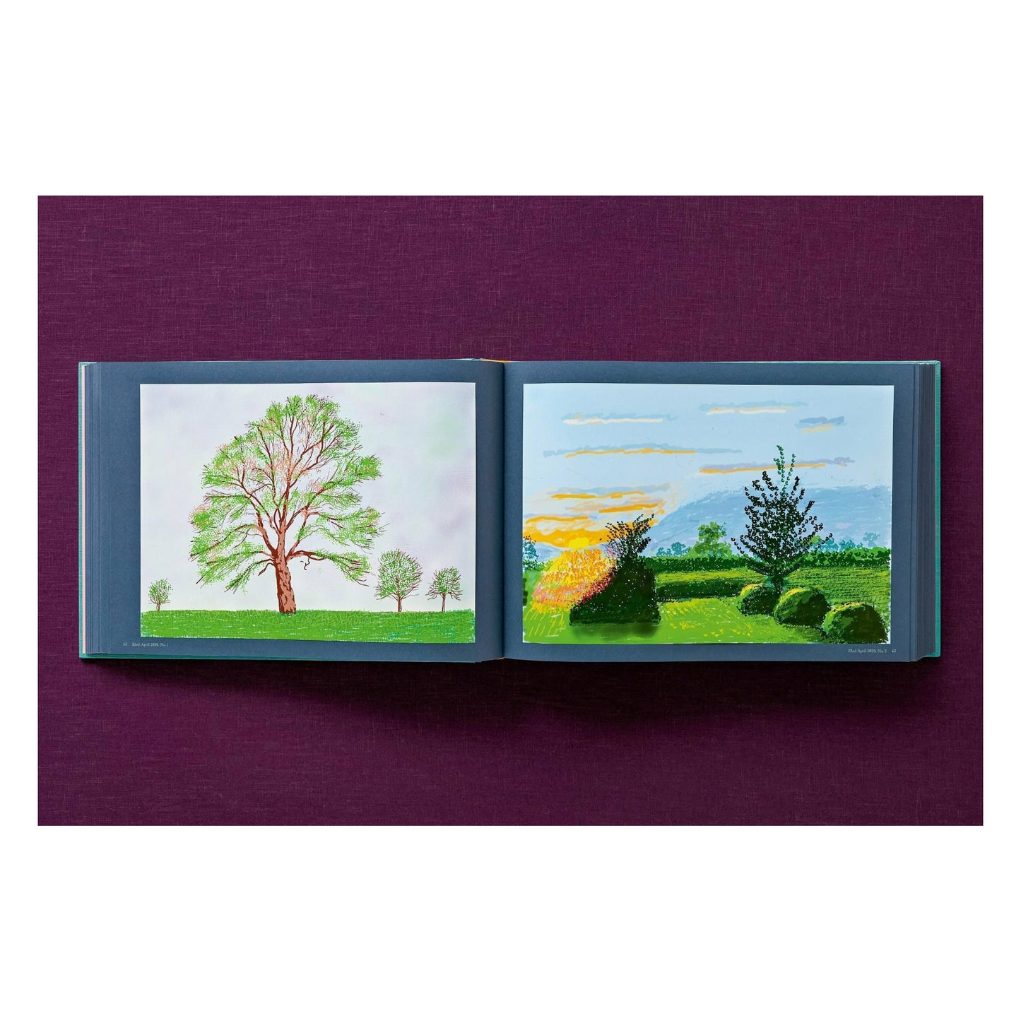 David Hockney. 220 for 2020. Art Edition No. 101–200 ‘Self-Portrait in My Living Room’ (English)
