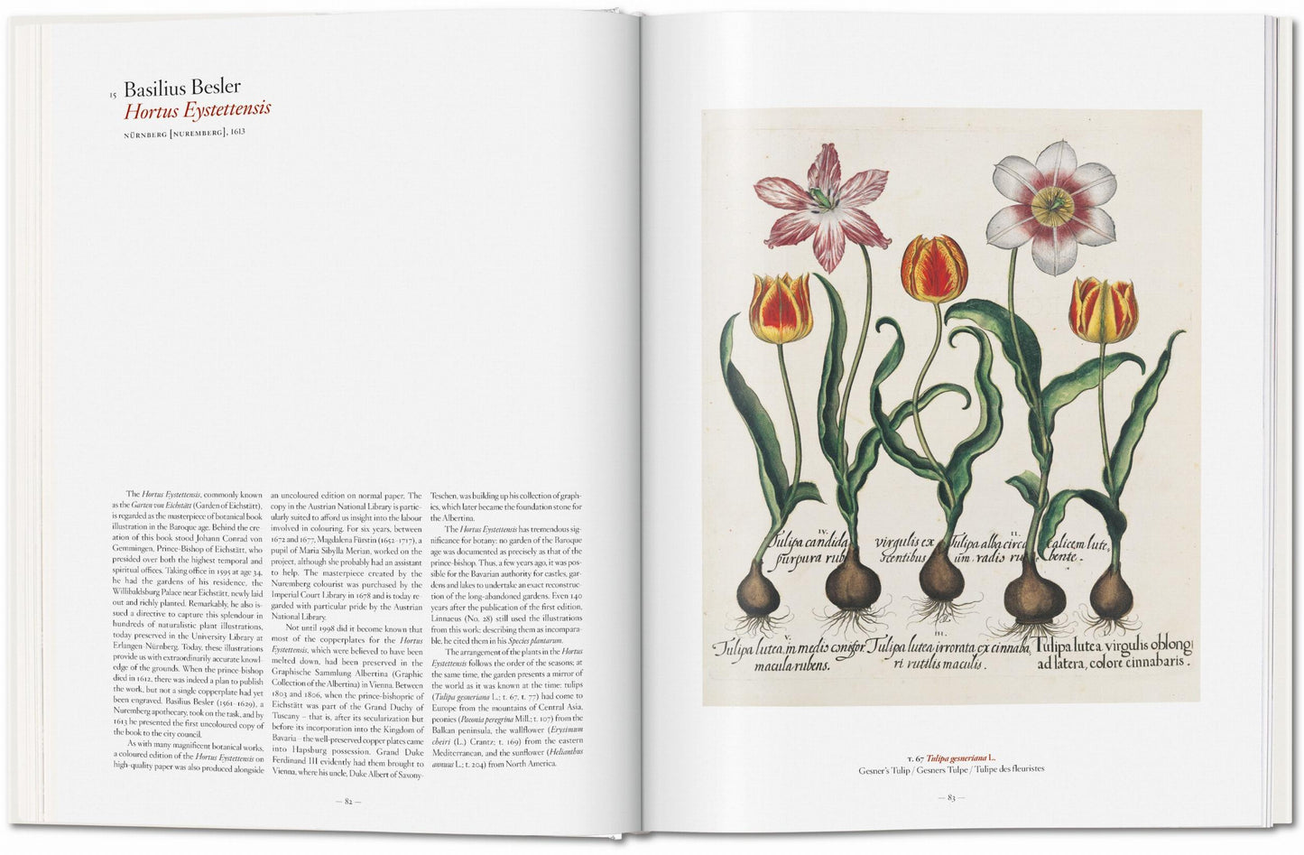 A Garden Eden. Masterpieces of Botanical Illustration (Spanish, English, Italian)