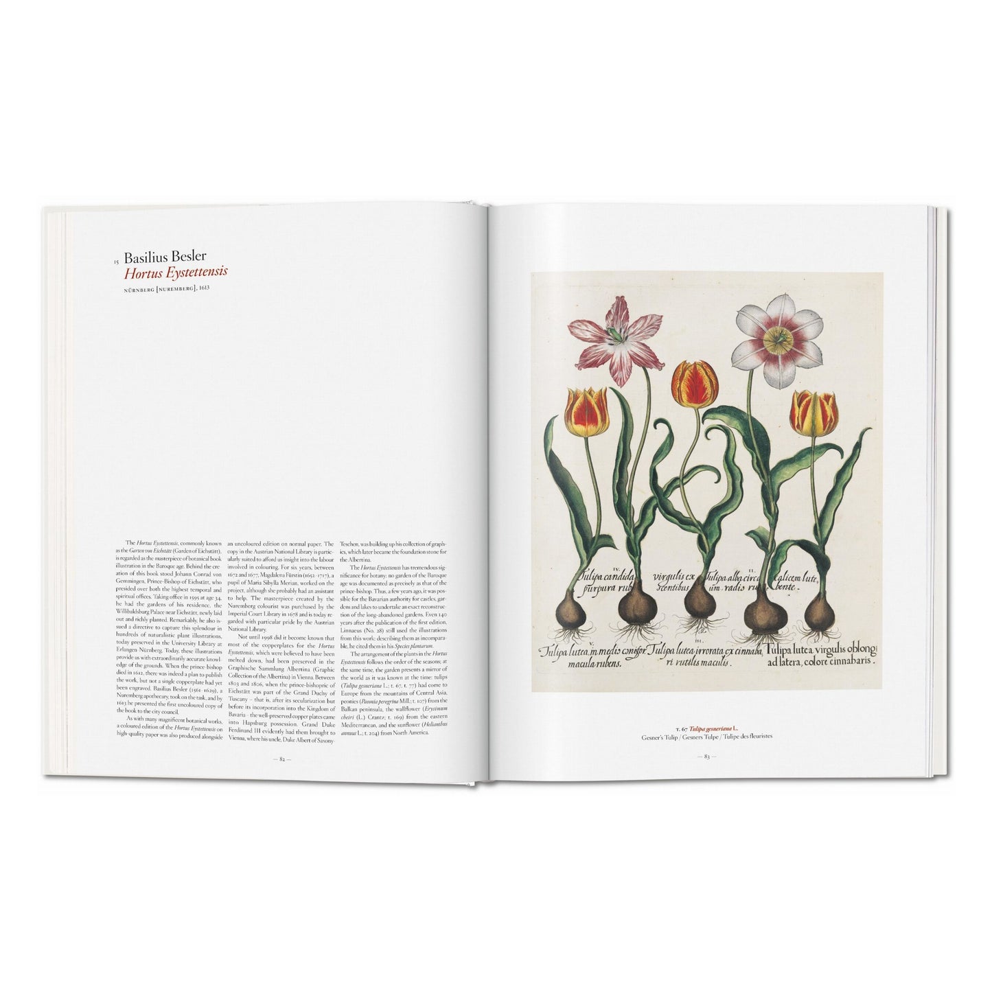 A Garden Eden. Masterpieces of Botanical Illustration (German, French, English)