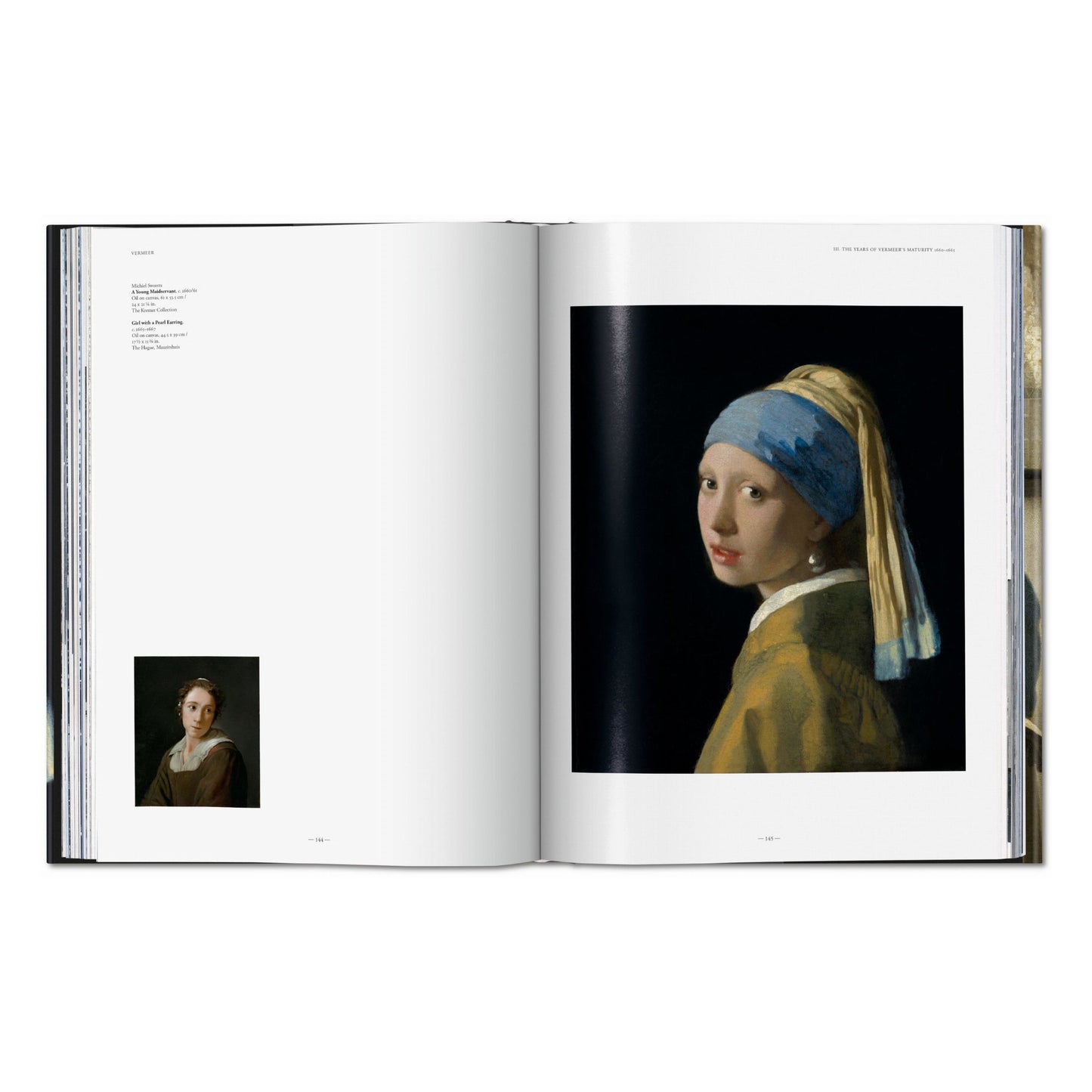 Vermeer. Das vollständige Werk (German)