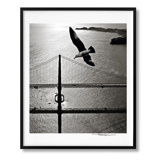 San Francisco. Portrait of a City, Art Edition No. 76–150 'Seagull over Golden Gate Bridge, early 1950s' (German, French, English) (AP)