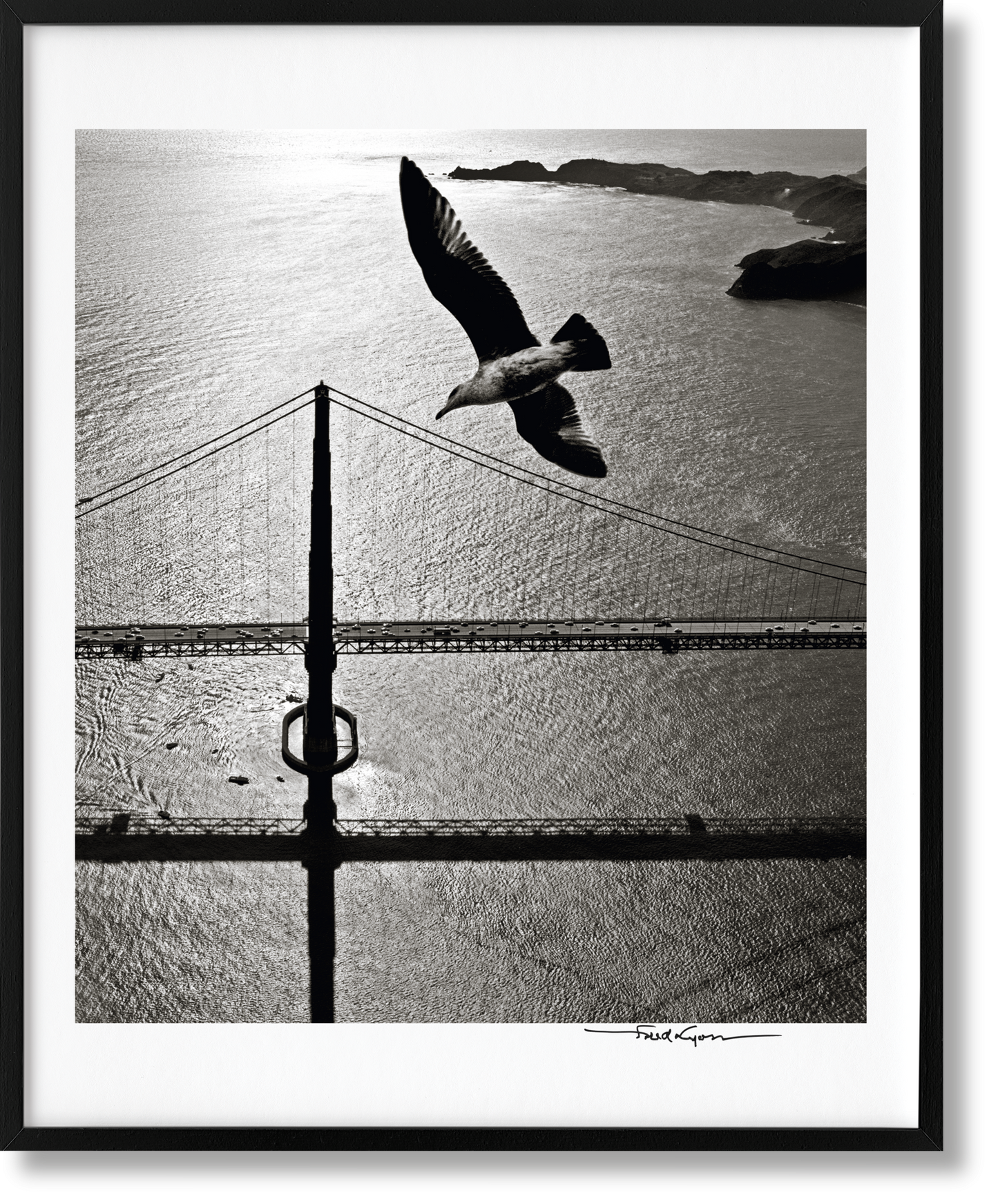 San Francisco. Portrait of a City, Art Edition No. 76–150 'Seagull over Golden Gate Bridge, early 1950s' (German, French, English) (AP)