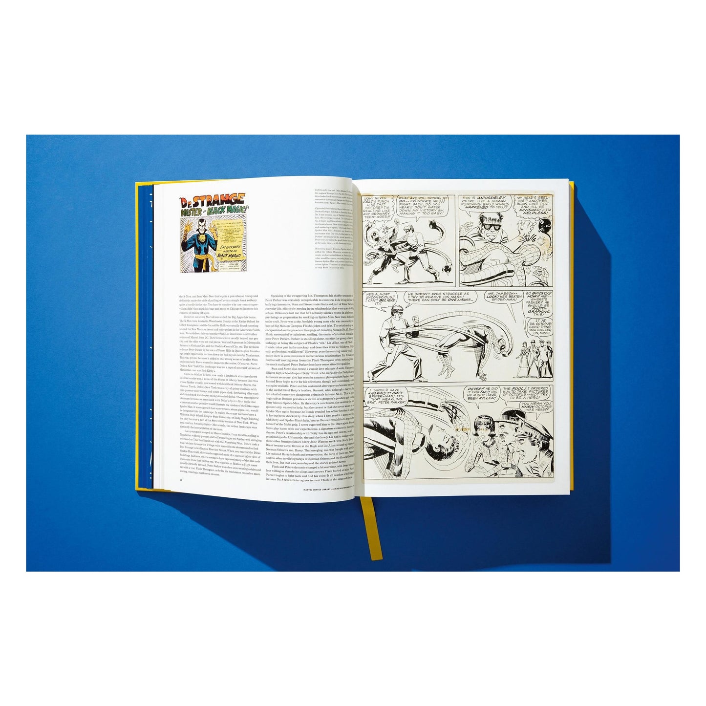 Marvel Comics Library, Spider-Man, Vol. 1, 1962-1964 (English) (AP)