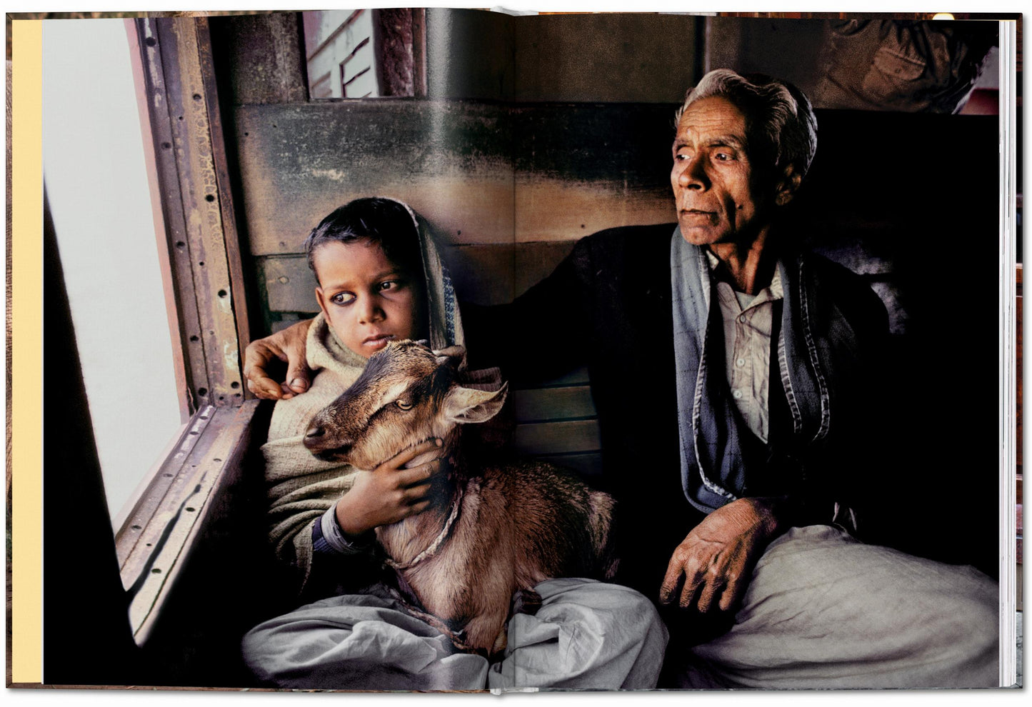 Steve McCurry. Animals (English)