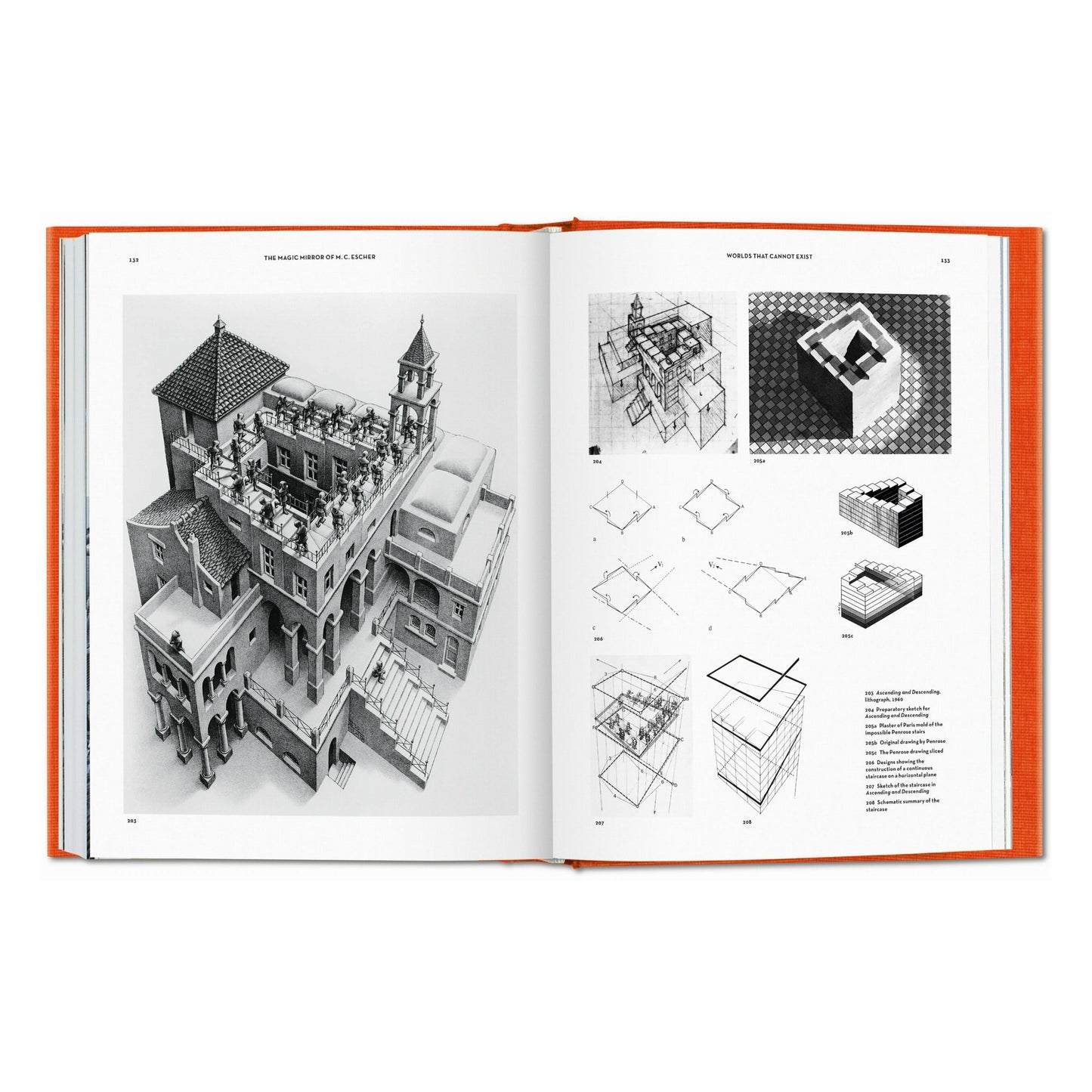 El espejo mágico de M.C. Escher (Spanish)