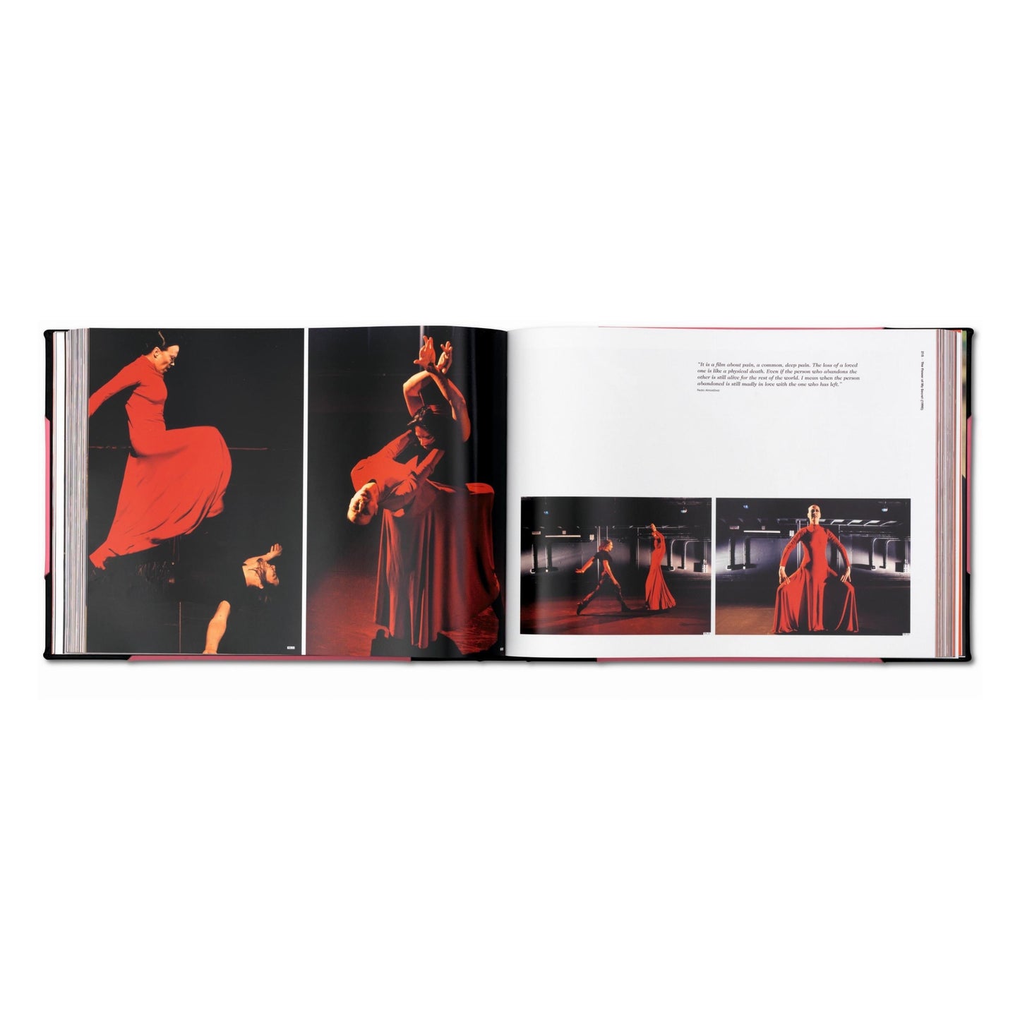 The Pedro Almodóvar Archives. Art Edition (English)