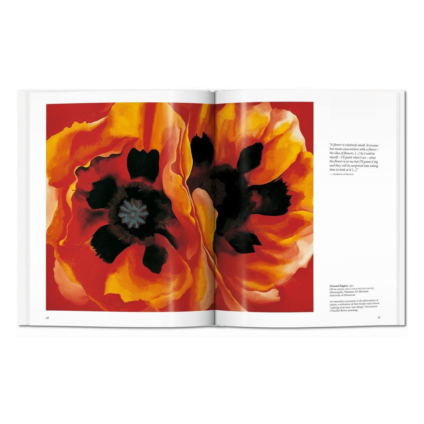 O'Keeffe (Spanish)